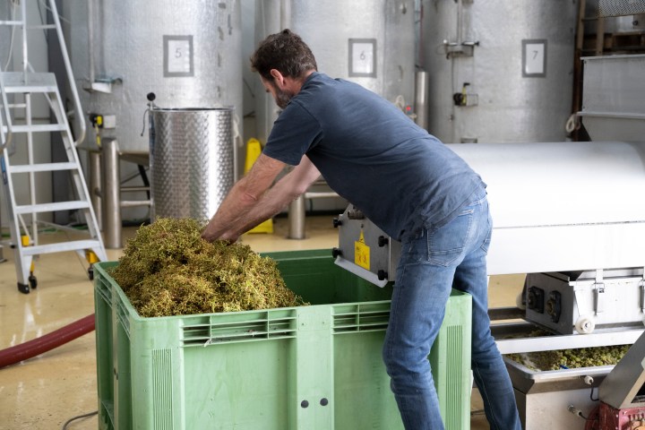 Man placing plants into a green bin in an industrial setting.
