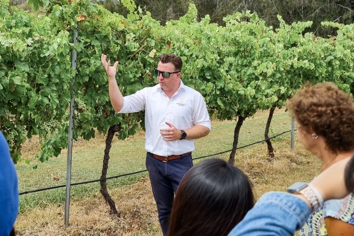 a group of people sitting at a zoo