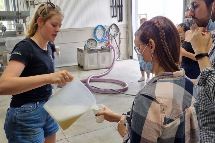a woman holding a wine glass