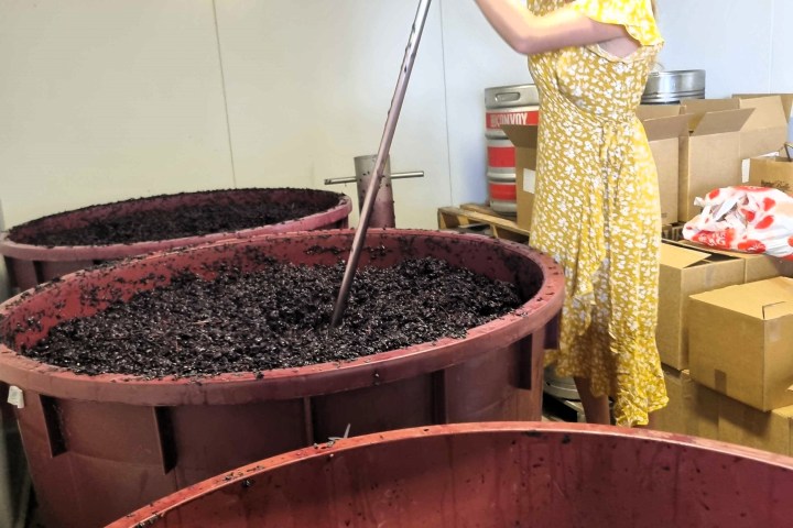 a person holding a pot