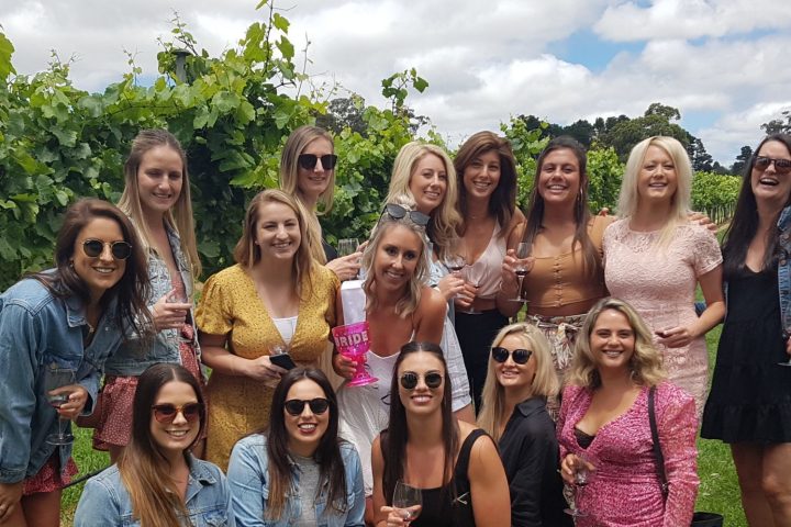 Group Tours with Dave's