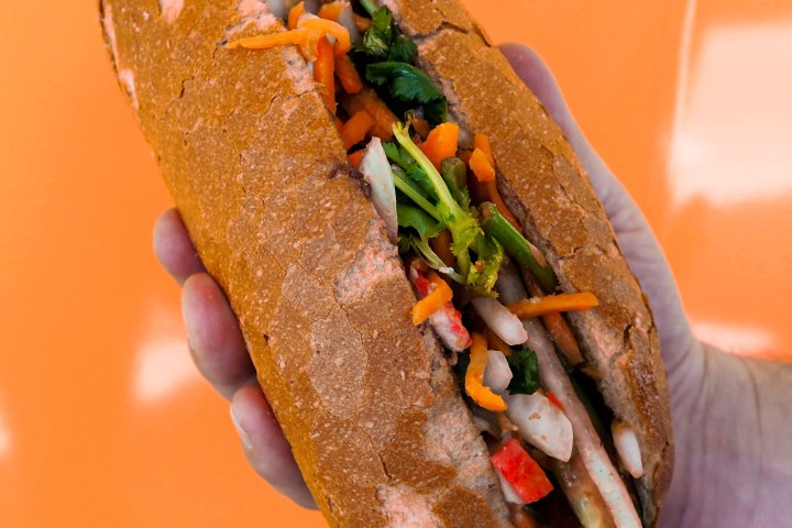 a hand holding a hot dog on a bun